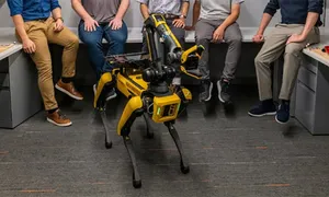 Chó robot bắt bóng Chó robot bắt bóng